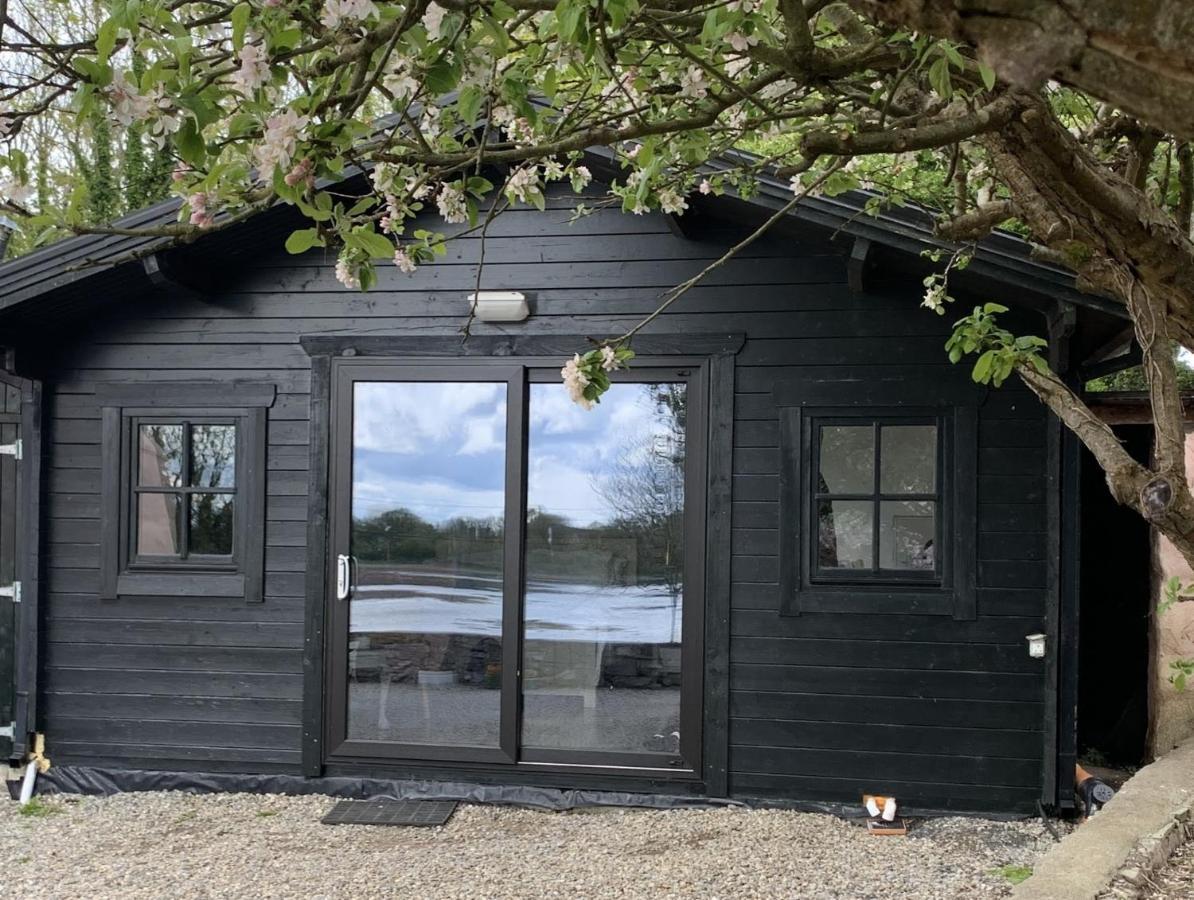 The Cosy Cabin By The Shore Galway Eksteriør billede